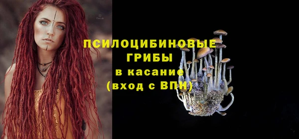 МДПВ Алзамай