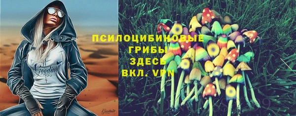2c-b Вязьма