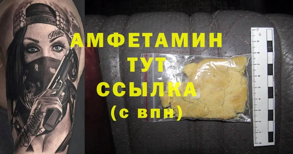 МДПВ Алзамай